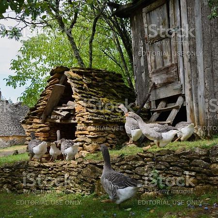 Studio Fontaine D'Amour Sarlat-la-Caneda Εξωτερικό φωτογραφία