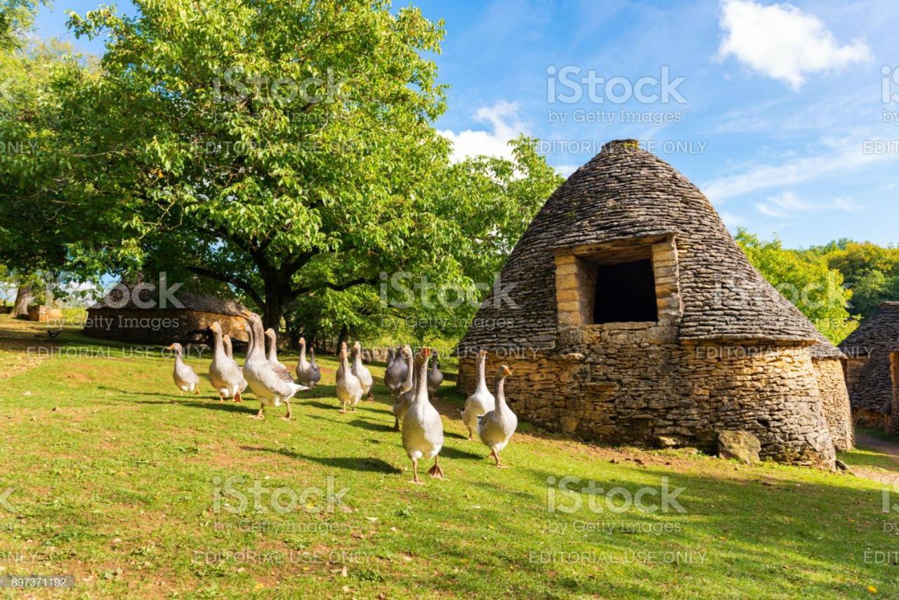 Studio Fontaine D'Amour Sarlat-la-Caneda Εξωτερικό φωτογραφία