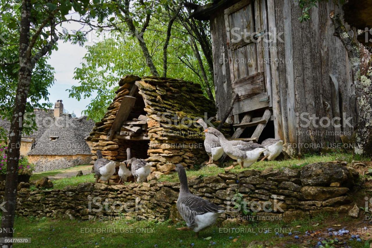 Studio Fontaine D'Amour Sarlat-la-Caneda Εξωτερικό φωτογραφία